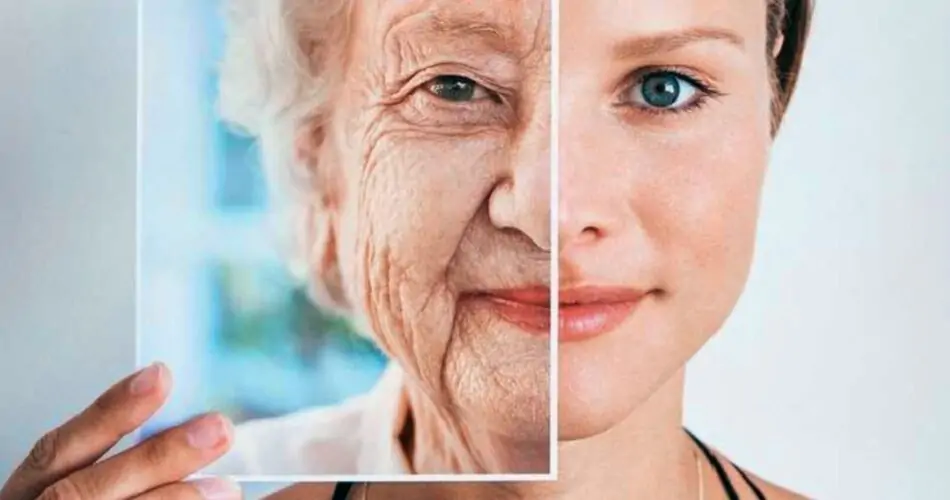 a que edad empieza el envejecimiento
