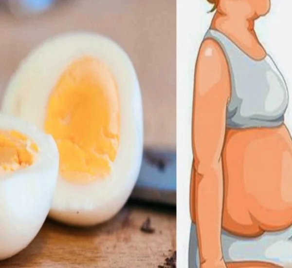 Dieta del Huevo Cocido