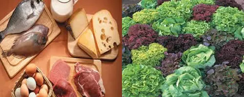 Alimentos ricos en proteínas como carne, huevos, pescado y lácteos.