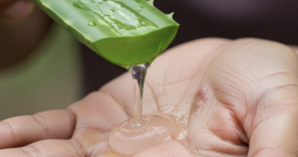 Aloe Vera para Verrugas: Cómo Usarla de Forma Natural y Efectiva